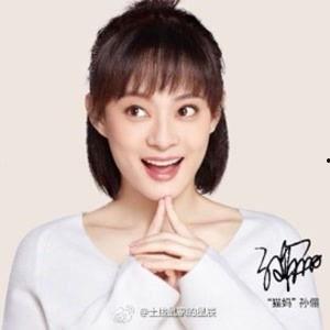 影星孙俪个人资料,从影视新星到实力派演员的蜕变之路