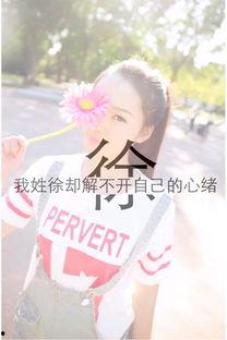 姓氏徐的图片,探寻中华姓氏的深厚底蕴